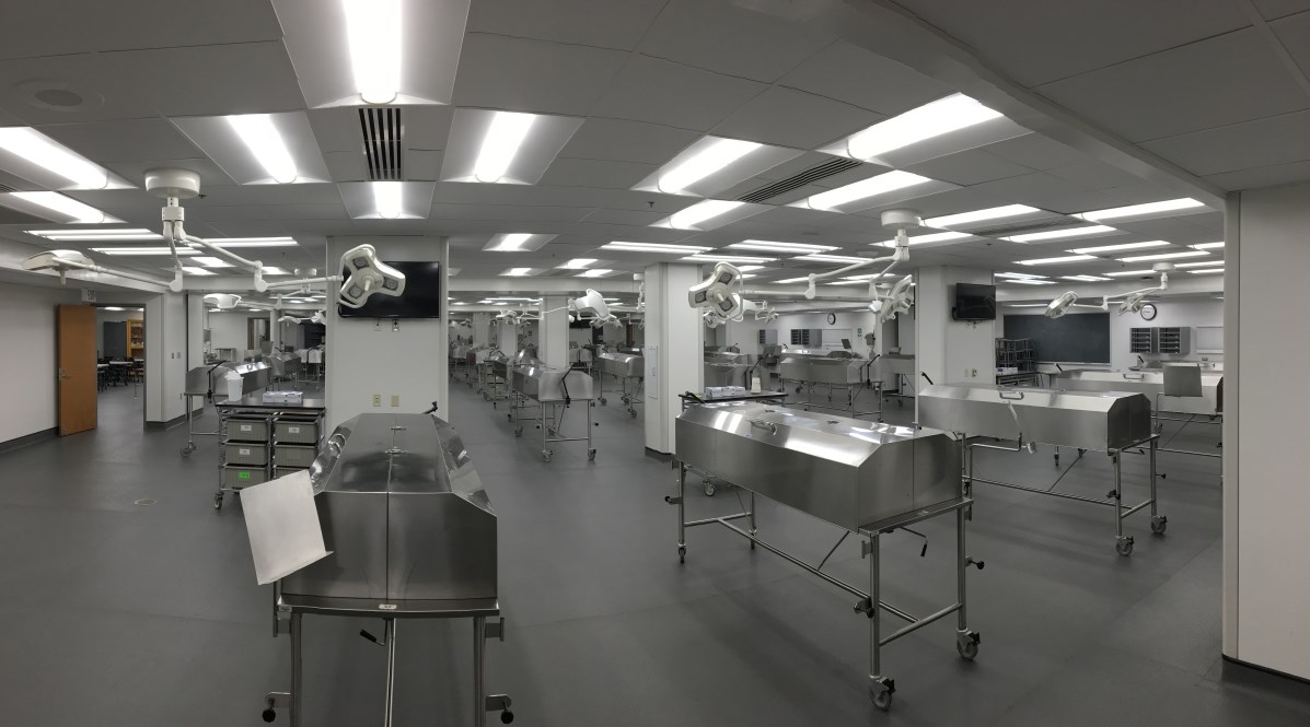 CAMERA-ASSISTED, AI-ENABLED DISSECTION TABLE & LIGHTING SOLUTION