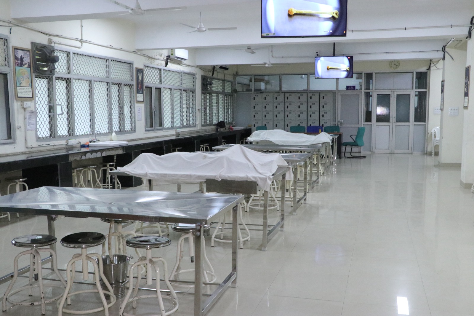 CAMERA-ASSISTED, AI-ENABLED DISSECTION TABLE & LIGHTING SOLUTION